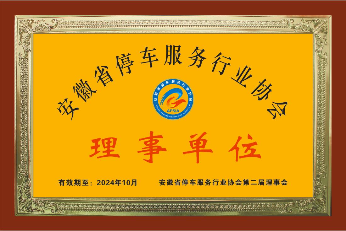 省停車服務(wù)行業(yè)協(xié)會(huì)理事單位